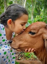 We are here to support you everystep. Save the cow